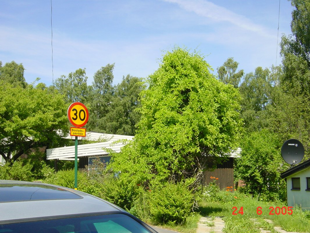 Fölvägen med träddödaren år 2005