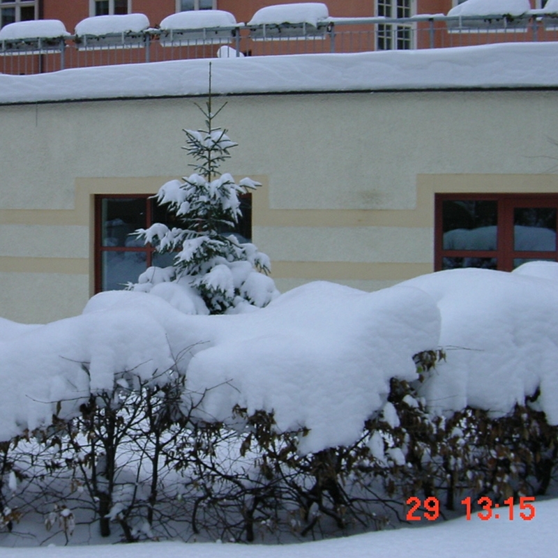 mycket snö på gården den 29 december 2001